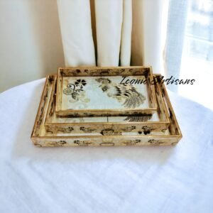 Serving enamel Poster Trays Sets